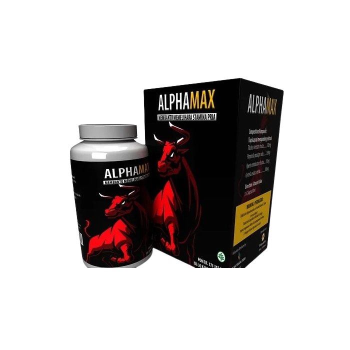 AlphaMax di Lubucklingau