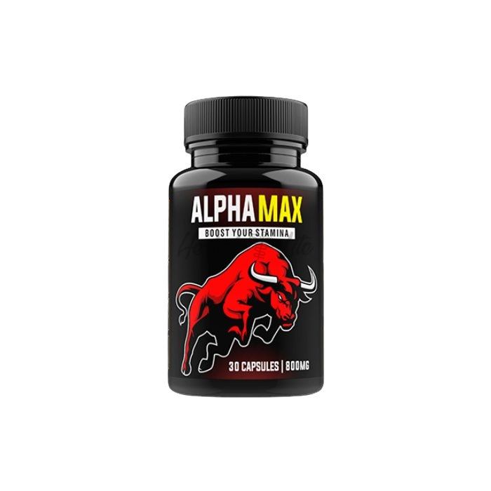 AlphaMax वारंगल में