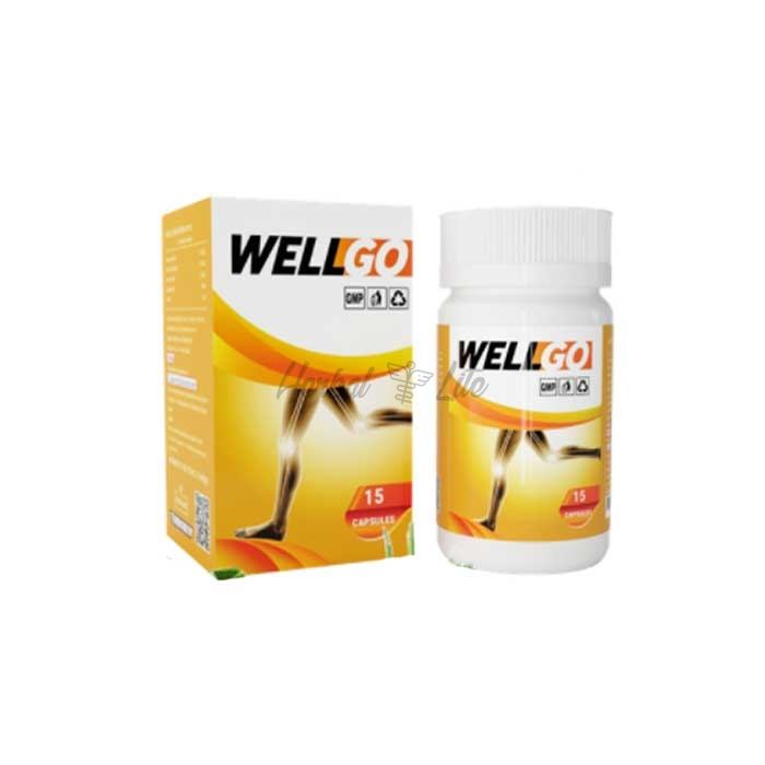 Wellgo ในสุราษฎร์ธานี