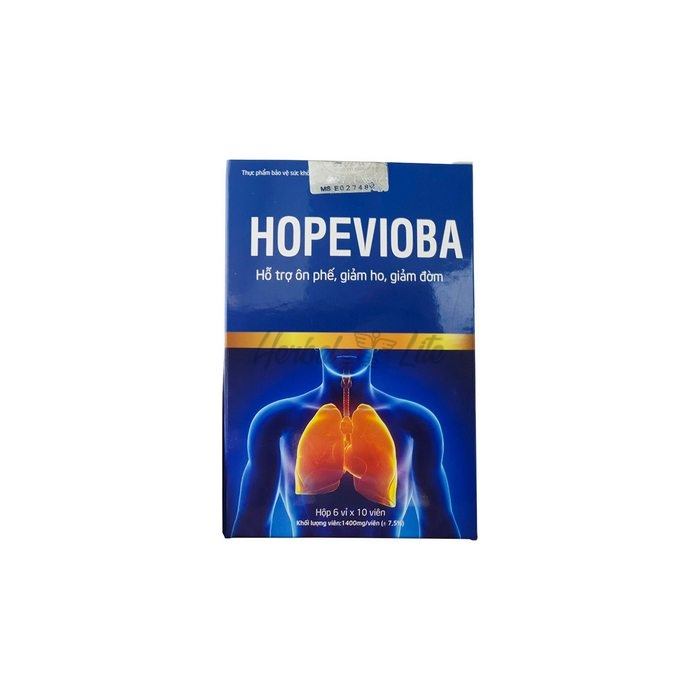 Hopevioba ở lạng sơn