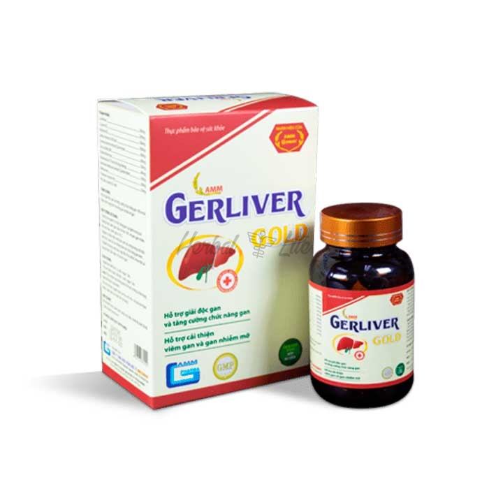 Gerliver GOLD ở Lào Cai