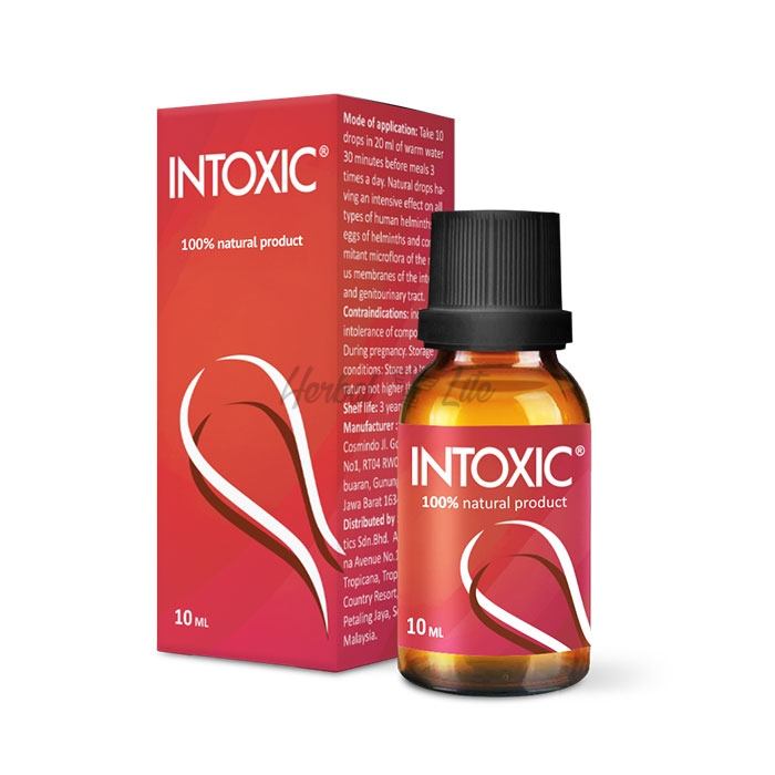 Intoxic Di Indonesia