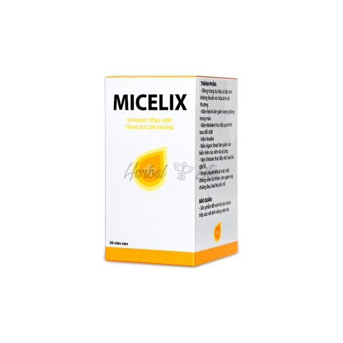 Micelix पुणे में