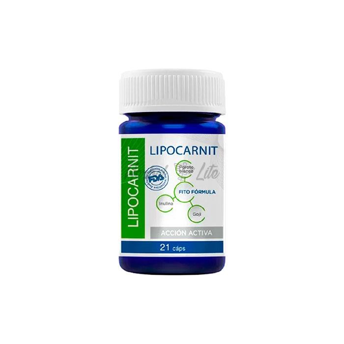 Lipocarnit di Semarang