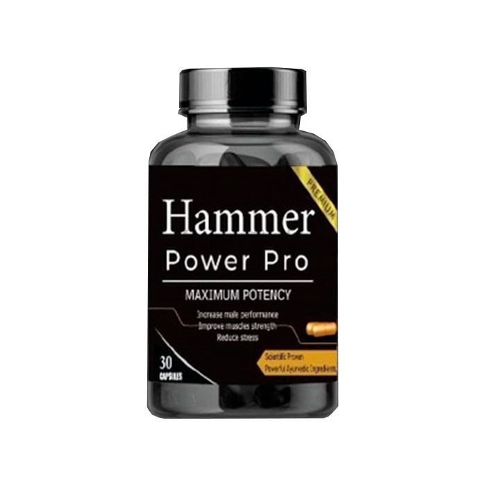 Hammer Power Pro சென்னையில்