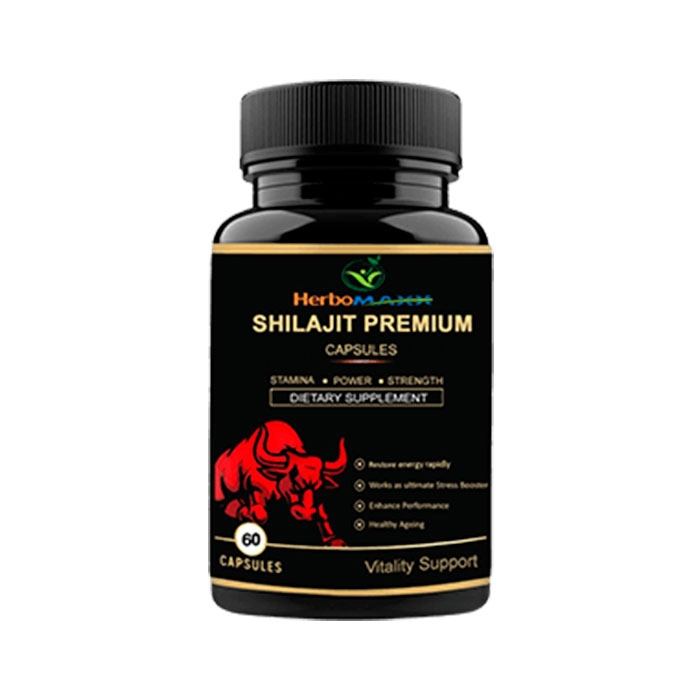 Shilajit Premium Capsules আহমেদাবাদে