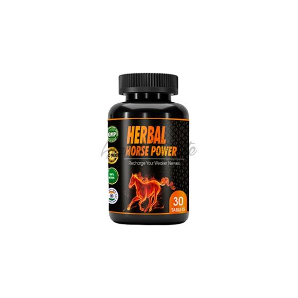 Herbal Horse Power திருச்சிராப்பள்ளியில்