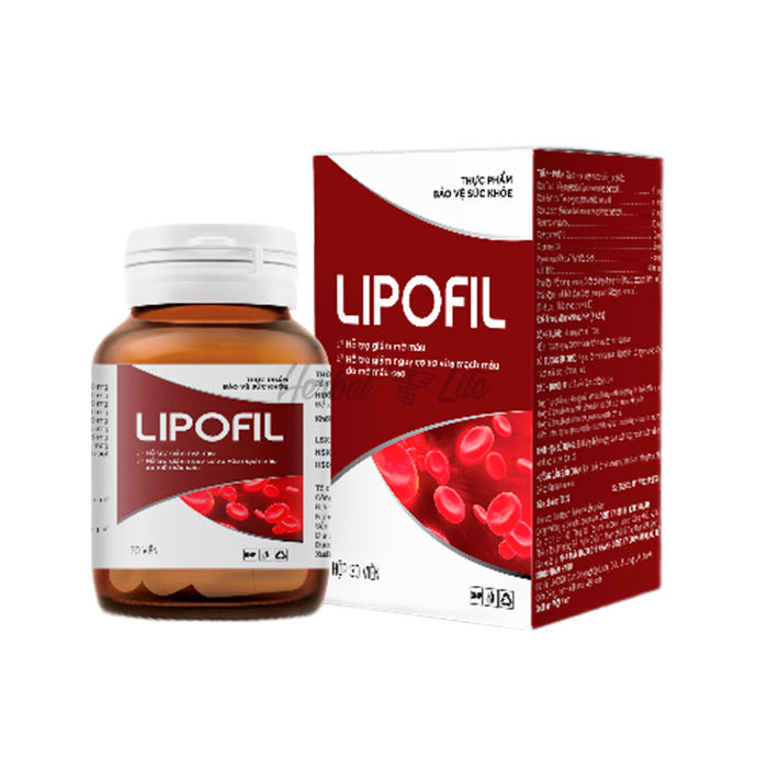 Lipofil ở Thaingguen