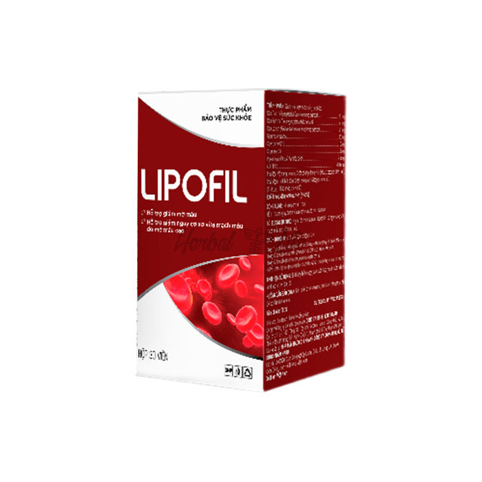 Lipofil ở Thaingguen