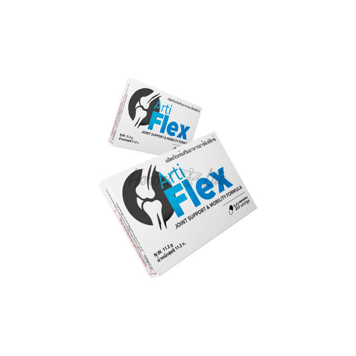 Artiflex ในประเทศไทย