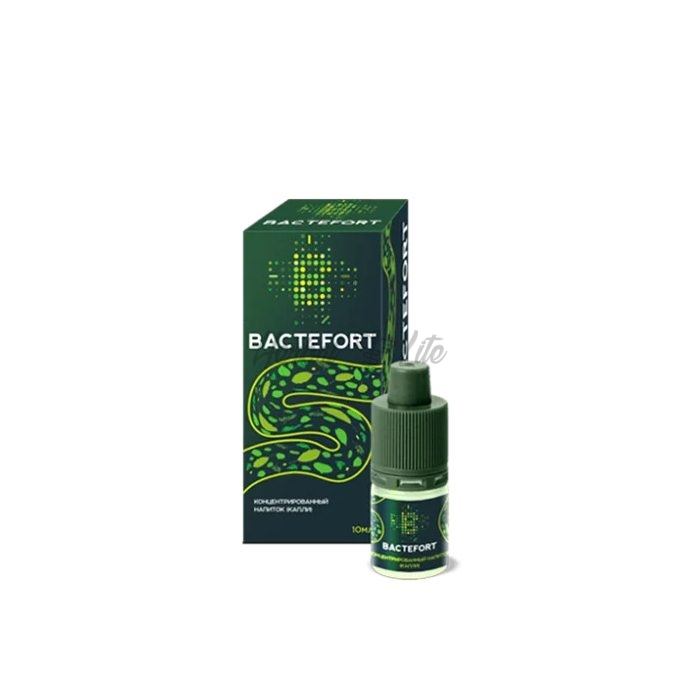 Bactefort di Binjay